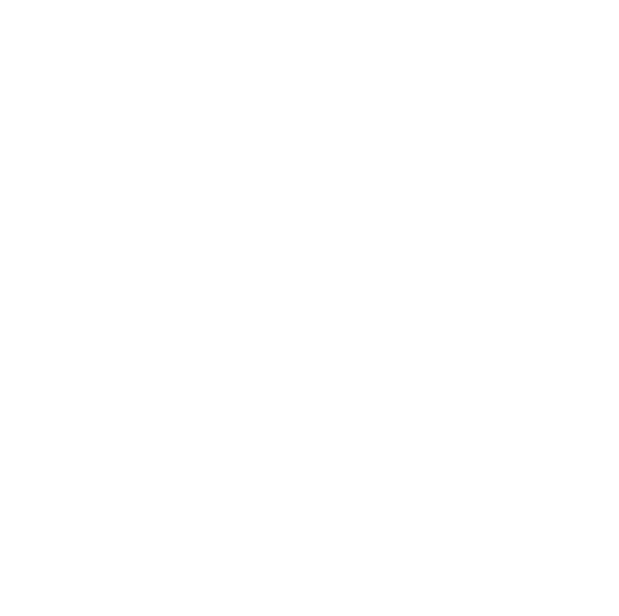 Auto Shipping in USA
